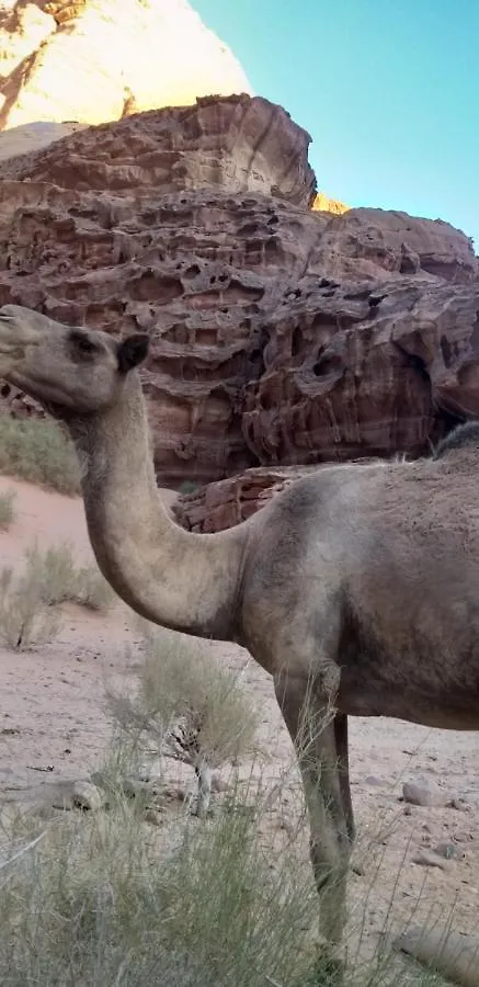 Campingplatz Hotel Bronze Mountains Camp Wadi Rum Akaba